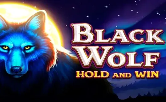 Copertina della slot 'Black Wolf Hold and Win' con un lupo su sfondo notturno